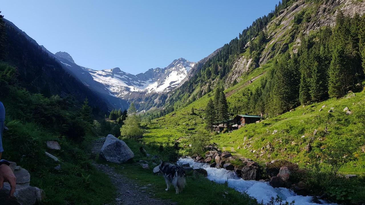 Eberl'S Zirbenlodge Ginzling Εξωτερικό φωτογραφία