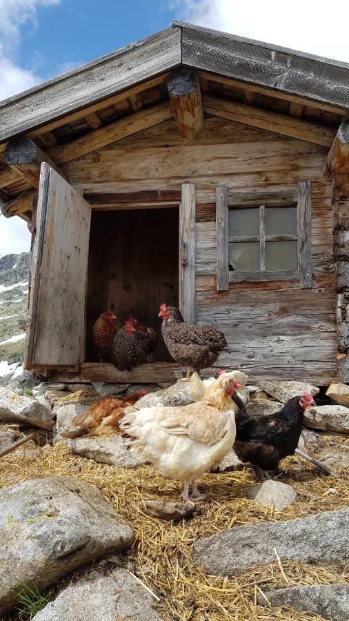 Eberl'S Zirbenlodge Ginzling Εξωτερικό φωτογραφία