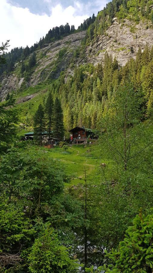 Eberl'S Zirbenlodge Ginzling Εξωτερικό φωτογραφία