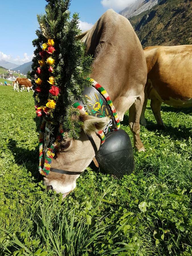 Eberl'S Zirbenlodge Ginzling Εξωτερικό φωτογραφία